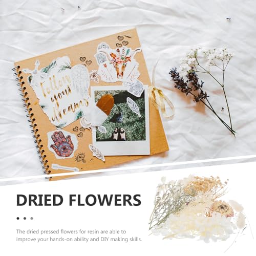 Flores secas prensadas para manualidades DIY resina miniatura 4