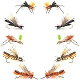 The Fly Fishing Place Basics Collection - Foam Hoppers Dry Fly Assortment #2 - 10 Dry Fishing Grassh