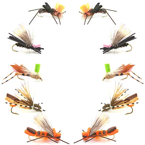 The Fly Fishing Place Basics Collection - Foam Hoppers Dry Fly Assortment #2 - 10 Dry Fishing Grasshopper Flies - 5 Patterns - Hook Size 10 #TOP16
