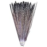 100 % alta calidad. 10 plumas de faisán decorativas para el bricolaje, 30,5 - 35,6 cm, Naturalcolor