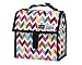 PackIt Freezable Mini Lunch Bag, Ziggy