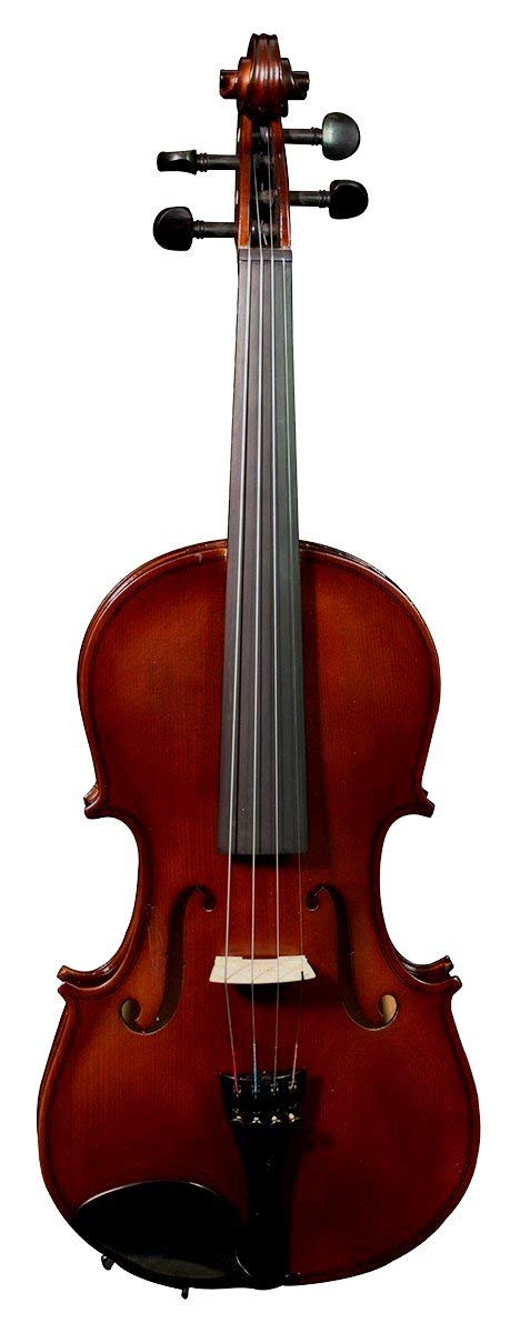 hand-carved solid spruce top, solid maple back & sides, redwood bow, rosin,hard case, dark brown