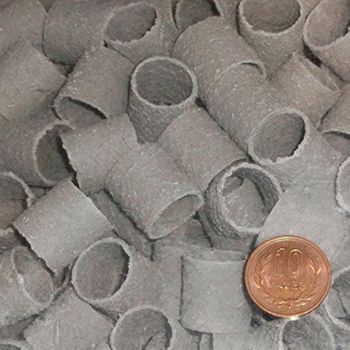 購入最安 ゼンスイ バクテリアホールド Lサイズ 50l バクテリアホールド 底床 通販 安心の日本製 Www Civilittee Hu Com