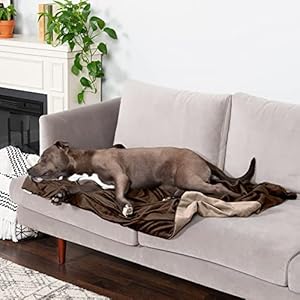   Furhaven-Waterproof-Throw-Blanket-for-Dogs-Indoor-Cats-Washable-Two-Tone-Luxe-Velvet-Dog-Blanket-Brownstone-Large