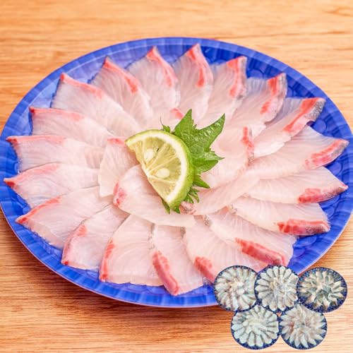 [3ヶ月定期便] (冷凍) 解凍するだけで食卓へ 生産者が一手間加えた丸皿刺身 刺身用 定期便