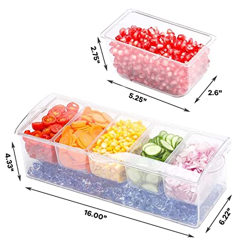 Meishida Condiment Containers With Lids, Ice Chilled Condiment Containers,Clear Fruit Tray, Serving Tray Container With 5 Removable Dishes, 3 Spoons And 3 Clips #TOP1