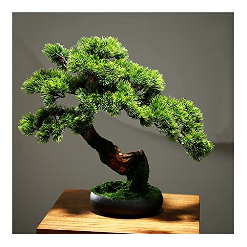 lH~ ƒp~̖͂؂̓̐AؔlHIȋU̐A̔ȂO lHϗtA