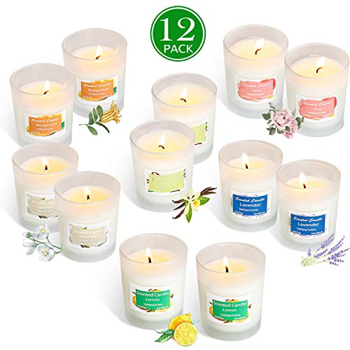YIIA Scented Candles 12 Pack Gift Set, Aromatherapy Set of Fragrance Soy Wax, 12-15 Hours Burn Time Per Cup, 12 x 2 Oz for Stress Relief, Mother's Day Father's Day Hostess Gift Set