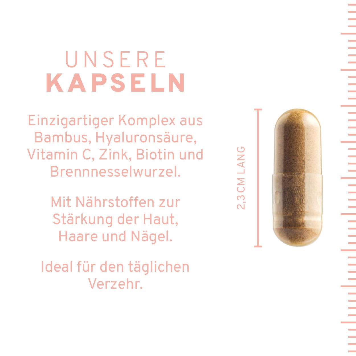 Natürlicher Haut, Haare & Nägel Komplex mit Haar-Vitamin Biotin, Zink (Zinkbisglycinat), Hyaluronsäure (500-700 kDa), Bambus (Silizium), Brennesselsamen, Hagebutte (VitaminC) + Vitamin E. 60 Kapseln.