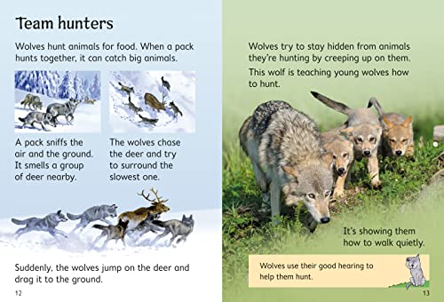 Wolves (Usborne Beginners) (Beginners Series) - Image 3