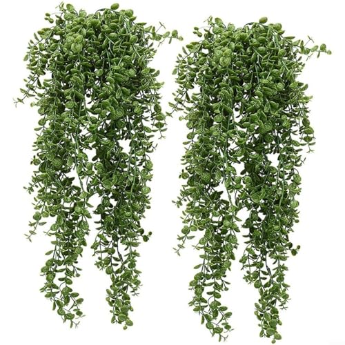Snowchecking Paquete de 2 plantas colgantes decorativas, guirnalda de eucalipto artificial para decoración de pared en casa, oficina, jardín, patio