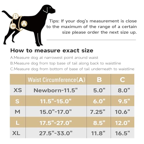 Image of Paw Legend Washable Reusable Female Dog Period Diapers for Heat Doggie Puppy Diapers for Female Dogs (3 Pack, Small)