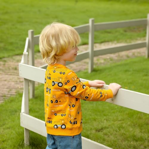 Image of GFQLONG Toddler Boy Sweatshirt 2T 3T 4T 5T Long Sleeve Shirts Boys Sweater | Cotton Dinosaur Cartoon Pullover Crewneck Sweatshirt,Toddler Boy Sweaters Tops,Kids Fall Winter Clothes