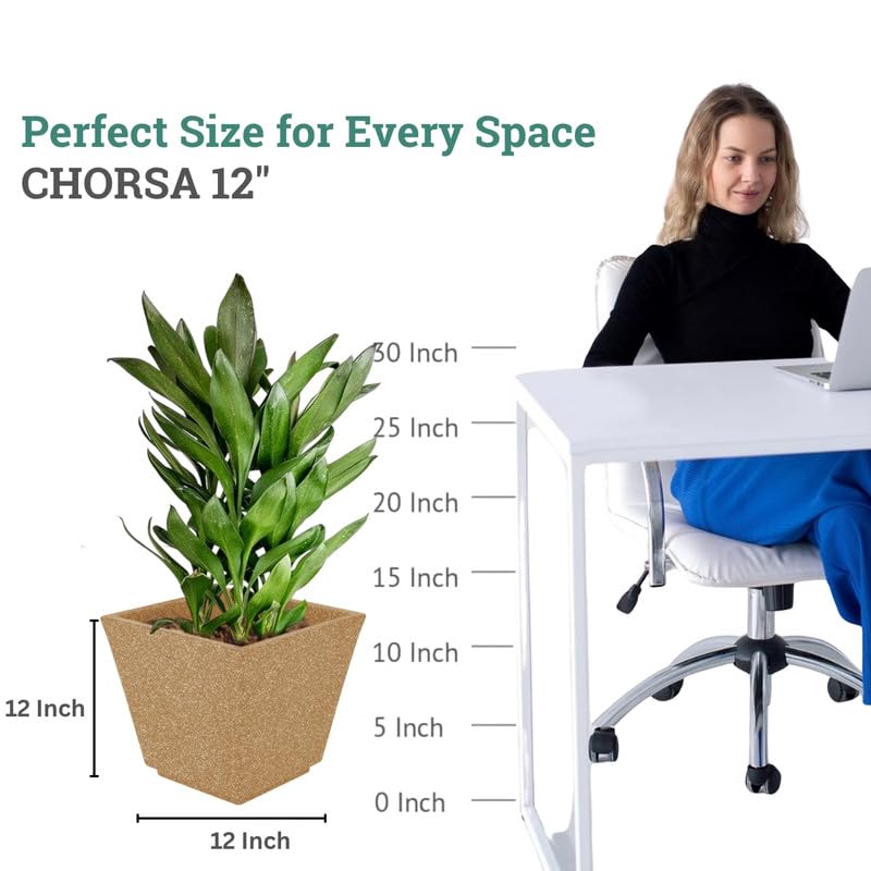 Image of Amazon Brand - Umi 12 Inch Planter Pot | Flower Pot for Indoor & Outdoor Use | Square Shape Planter Pot for Home & Office Decor Balcony & Terrace Gardens (Chorsa, Brown)
