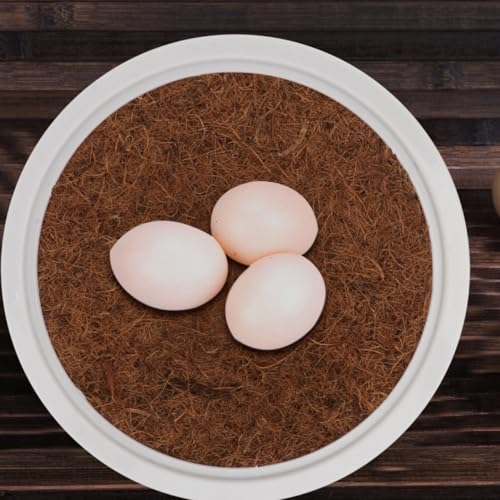 Image of Yardwe 6Pcs Pigeon Nest Bowls with Coconut Fiber Mats Plastic Bird Nest for Pigeons Small Birds 9 44 Inch Diameter Ideal for Breeding and Roosting