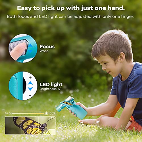 Andonstar AD203 Handheld-Digitalmikroskop, tragbares Taschenmikroskop mit 4-Zoll-Bildschirm für Kinder und Erwachsene… – Bild 4