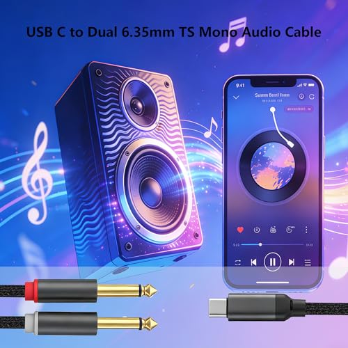 Cable USB C a doble Jack 6.35mm de audio 2 m miniatura 2