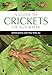 A Guide to Crickets of Australia