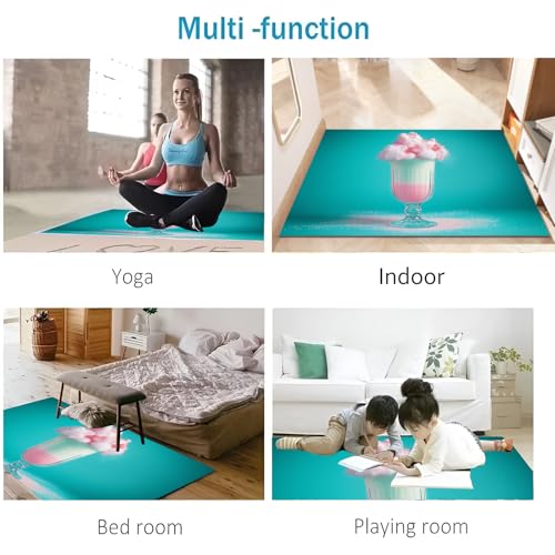 Paillasson absorbant interieur entree tapis lavable resistant 90x150
