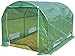 Produktbild Gewächshaus Gartengewächshäuser Winter Großes Gewächshaus Tomaten Growhouse, PE-Abdeckung Hothouse for Outdoor Garten Obst Gemüse Blumen Pflanzen, 300 × 200 × 175cm