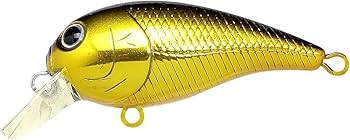 ラッキークラフト　クランクベイト 楽天市場】＜ラッキークラフト＞ベビークランク 45DRカラー