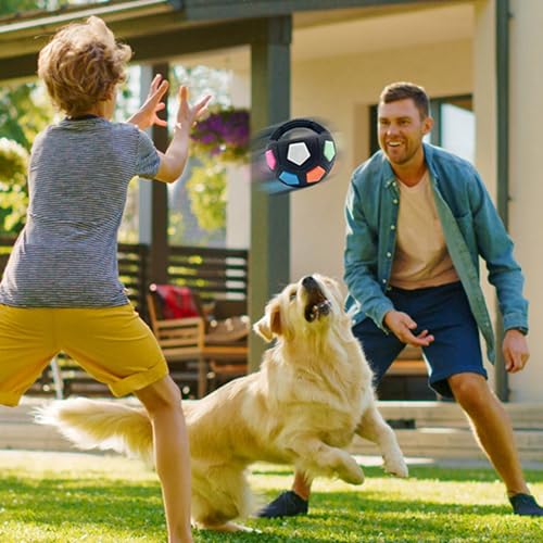 Generisch Groß Hundeball Unzerstörbar mit Handle,The Mellow Dog Calming Ball,Interaktives Hundespielzeug,Hundetrainingsspielzeug,Geeignet für Große und Kleine Hunde (Schwarz)