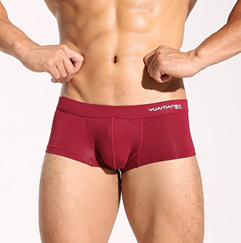 2-Pack Pure Color Men's Soft Underwear Modal Comfortable Boxer Briefs2