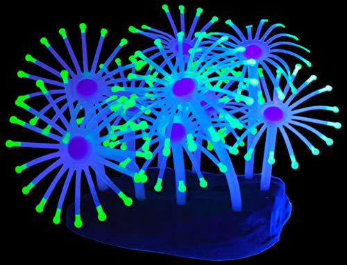 SciencePurchase UV Glowing Silicone Faux Palythoa Coral Fish Tank Decoration with Weighted Base for...