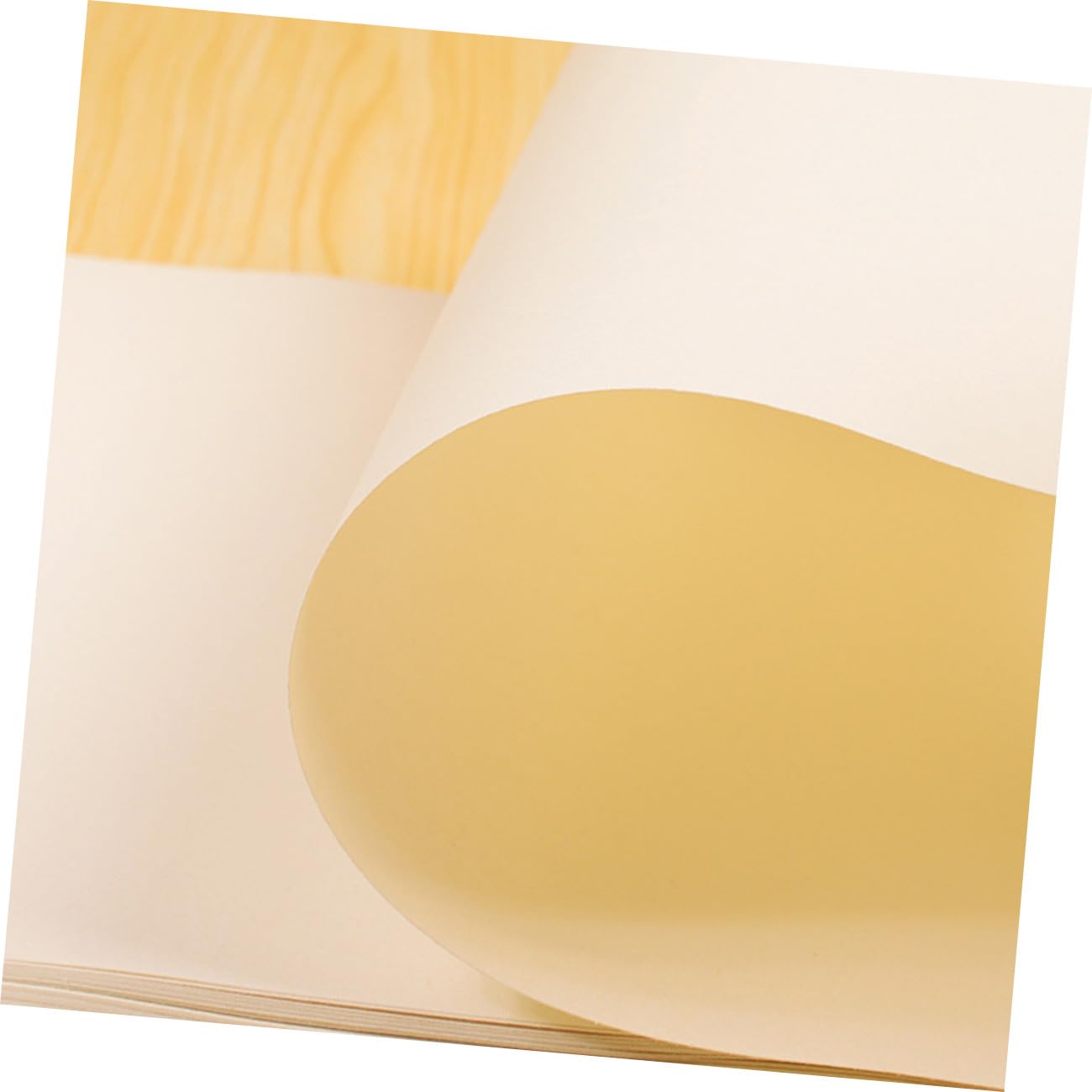 Anneome Carta da Disegno Gialla 8k 160g 40 Fogli in 2 Confezioni Compatibile Matite Inchiostri e Pastelli per Schizzi e Pittura Acrilica per Artisti Studenti