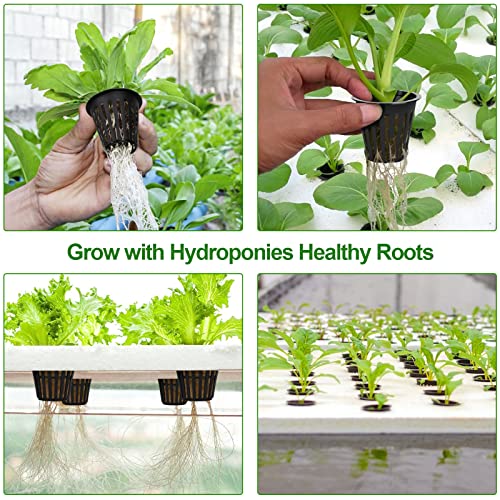HXSEMAYIG 100PCS 2 inch Net Pots, Hydroponics Cup, Net Cups for Indoor or Outdoor Growing - Image 4