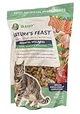 Dr. Marty Nature's Feast Essential Wellness Beef, Salmon and Poultry Dry Cat Food 12 oz