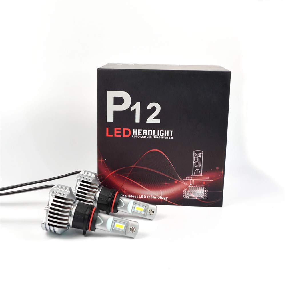 P13W LED Lampadina Fari Auto Esterno 45W Lampada Alogena Luce Kit di Conversione Impermeabile 6500K, 2 pezzi