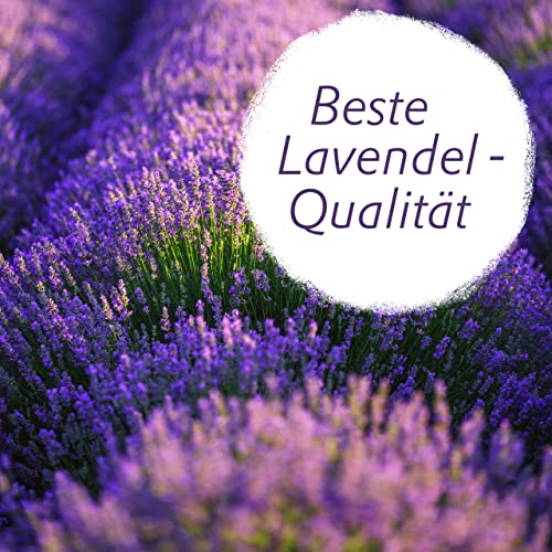 Lavodia Lavendelsäckchen mit Premium Lavendelblüten, zum Mottenschutz gegen Motten im Kleiderschrank oder als Lavendel Duftsäckchen zum Entspannen und Schlafen, 20 Lavendel Säckchen