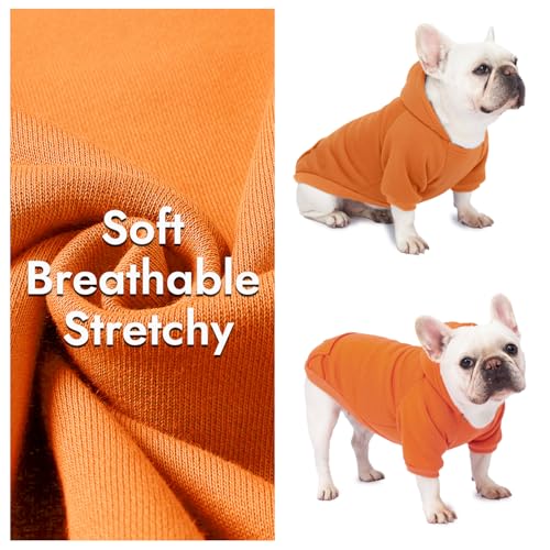 Image of 1 Pack Dog Hoodie Warm Hood Dog Sweater Cold Weather Small Dogs Sweatshirt Comfort Pet Clothes for Small Medium Dogs with Pockets Cats Chihuahua Clothes for Male Female Girl Boy Sporty Daily Wear