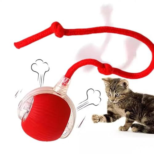Cat Interactive Ball - Rechargeable, Motion Chase Toy, Self-Moving Kitten