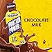NESTLE NESQUIK PROTEIN POWER Ready To Drink Aseptic Chocolate Milk 12x14floz Bottles