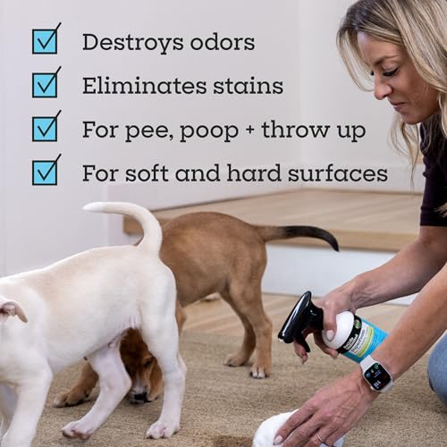 Image of Pet Life Unlimited SuperFoam for Pet Stains & Odors, Juniper Leaf, 16 fl oz