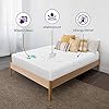 BLISSFORD Plastic Mattress Protector Zippered (36"x 80"), Waterproof Vinyl Mattress Cover, Heavy Duty Noiseless Mattress Encasement