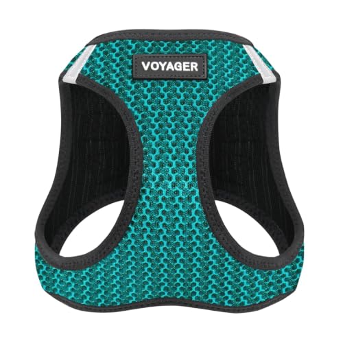 Image of Voyager Step-in Air Dog Vest Harness - Turquoise 2-Tone, Small | 14.5-16 inch in Chest, Reflective Bands, All Weather Breathable Air Mesh, Cats Compatible, Lightweight, Fast Drying