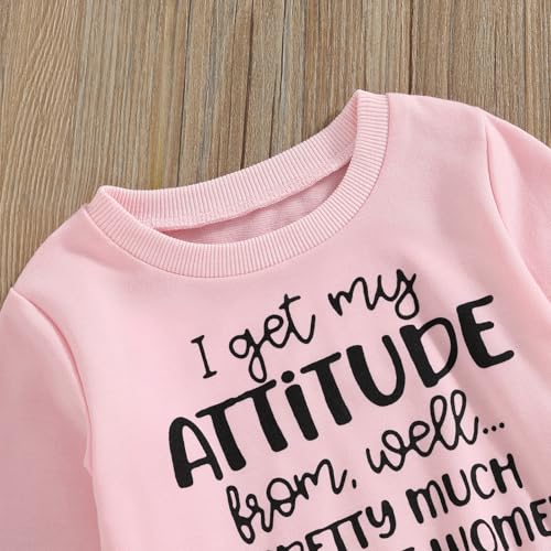 WZTYYDS Toddler Girls Clothes 2T 3T 4T 5T Kids Fall Winter Outfits Letter Sweatshirt Pullover Tops Camouflage Pants Set4