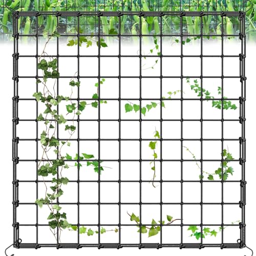 Red de Enrejado para Plantas, Malla Elástica para Plantas Trepadoras con 4 Gancho, Red De Tienda De Cultivo, Red de protección para Verduras de jardín,para Plantas,Verduras,Frutas (120 x 120 cm)