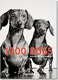 1000 Dogs (Klotz)