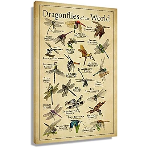 Busmko The Dragonfly Decor Posters Aesthetic Garden Art Giclee Canvas Contemporary Wall Art Vintage Paintings Knowledge Education Decoration for Kitchen Decorations Unframed 12x18 inch(30x45cm) Cover