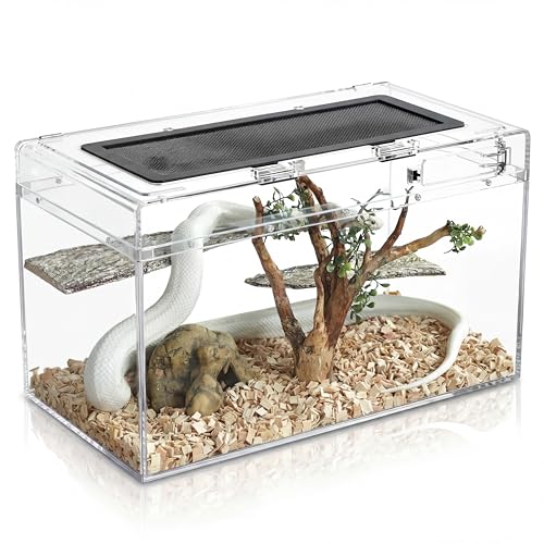 QWORK® Boîte d'alimentation pour Reptiles,Reptile pc Terrarium, 50 * 24 * 27cm pour Une variété de Reptiles et d'insectes