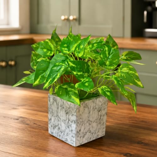 Image of fancymart Artificial Plant with Real-Touch Leaves in Pot, 25 cm, Indoor Tabletop Item for Home Decor, Office, Living Room