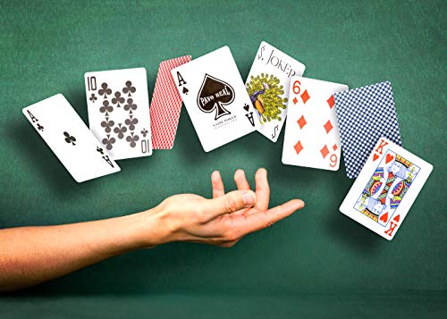 Consejos y comparativas para Comprar Baraja cartas dinosaurios de esta semana. 16 Imagen adicional