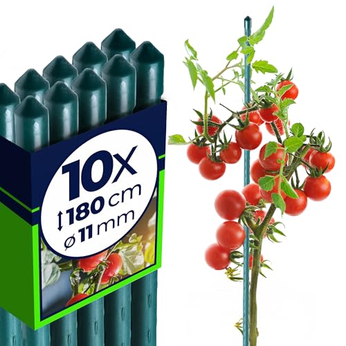 KADAX Lot de 10 Tuteurs en Acier avec revêtement - 180 cm x 11 mm - Tuteur pour Plantes -...