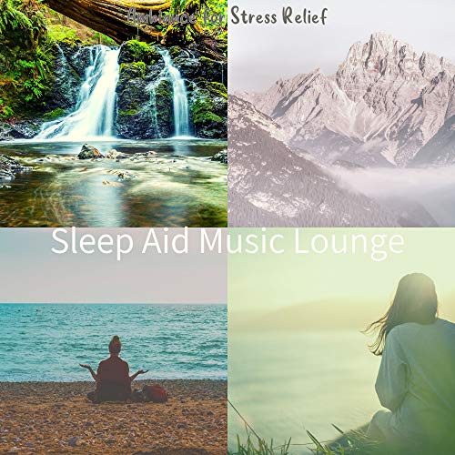 Ambiance for Stress Relief Sleep Aid Music Lounge