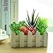 KUUQA 16 Pcs Mixed Artificial Succulent Flowers Plants Unpotted Decor Stems Faux Succulents Plants Bulk Assorted Picks for Home Decor Indoor Wall Garden DIY Decorations