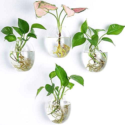 Kingbuy Wall Planter Terrariums Propagation Stations - 2 Cylinder Shaped And 4 Egg Shaped Glass Vases #TOP5